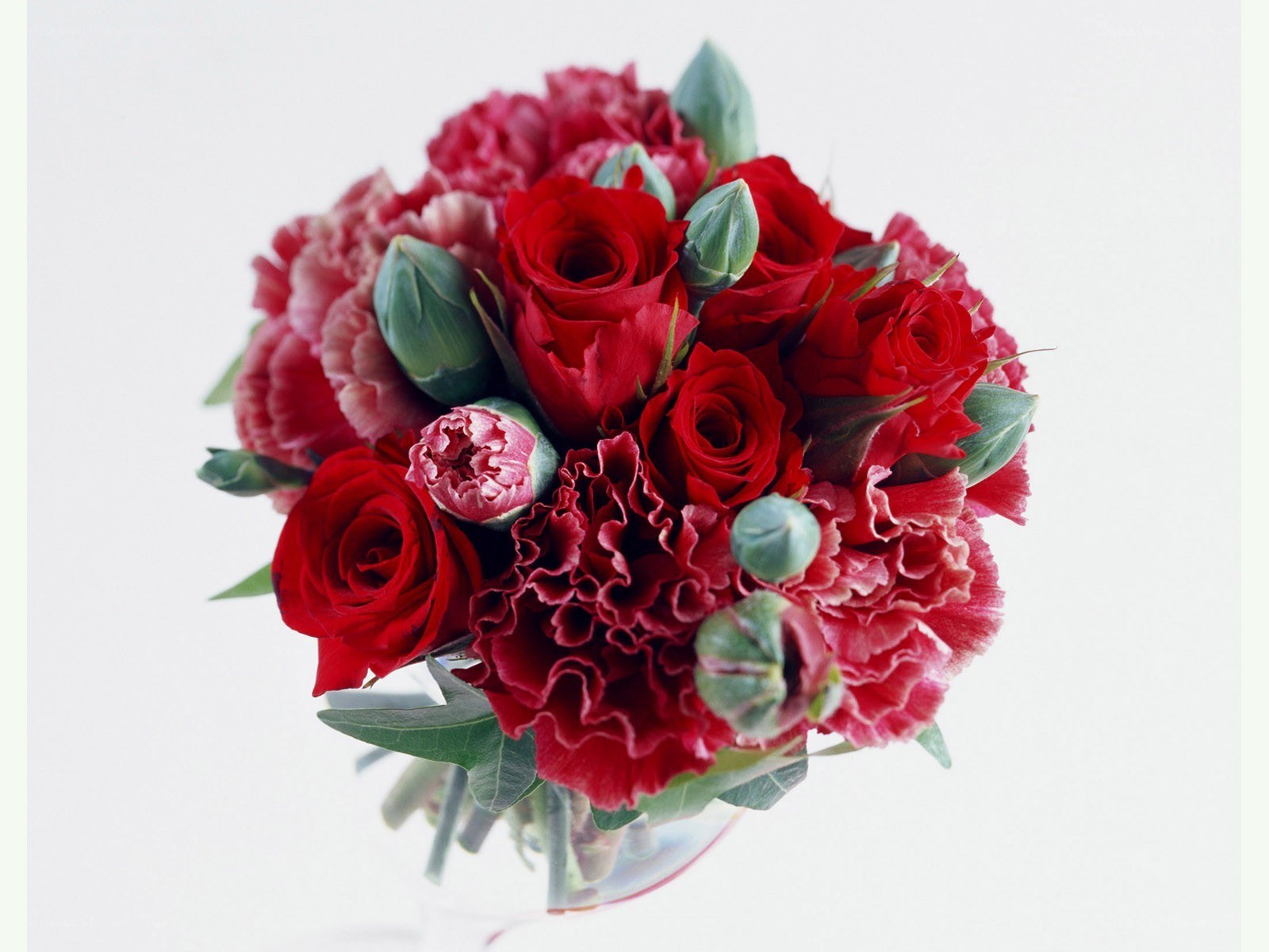 red rose and carnation bouquet