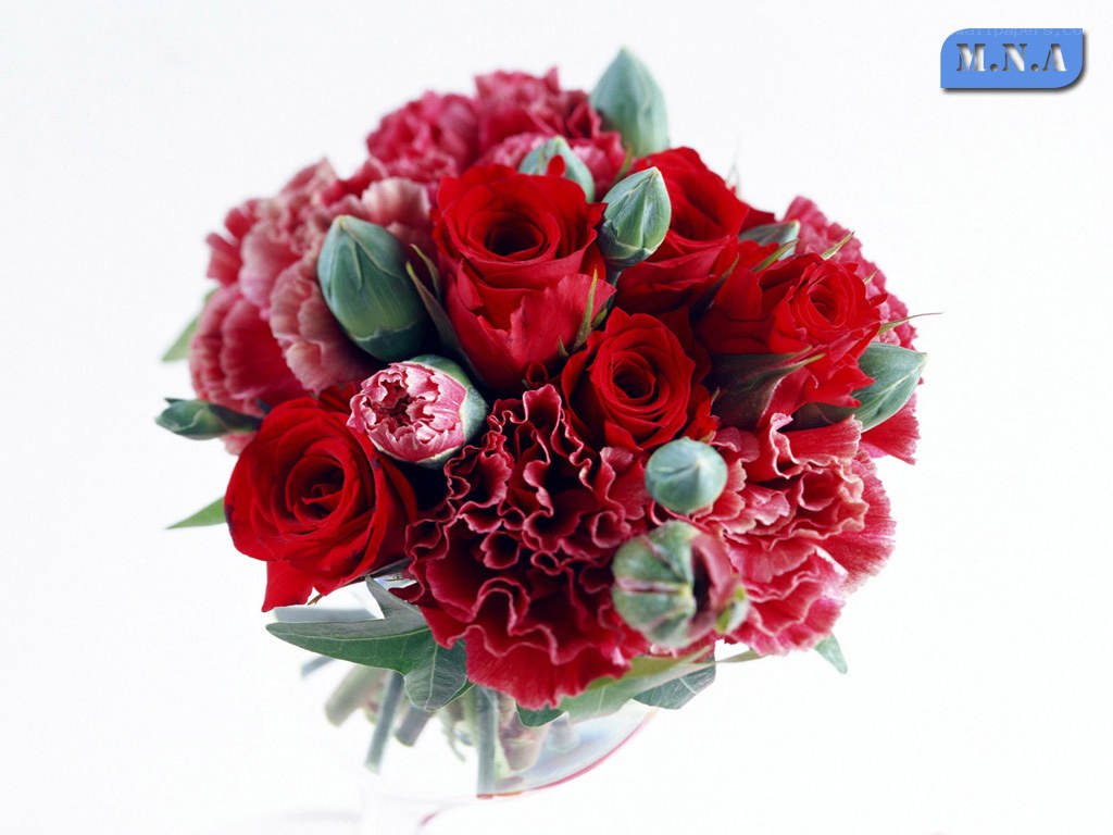 red rose and carnation bouquet