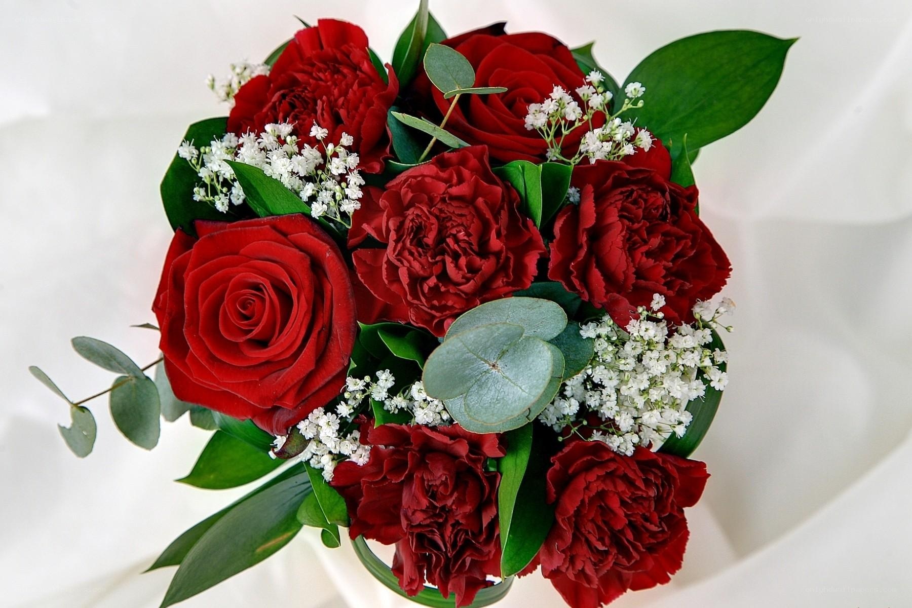 Red rose and carnation bouquet