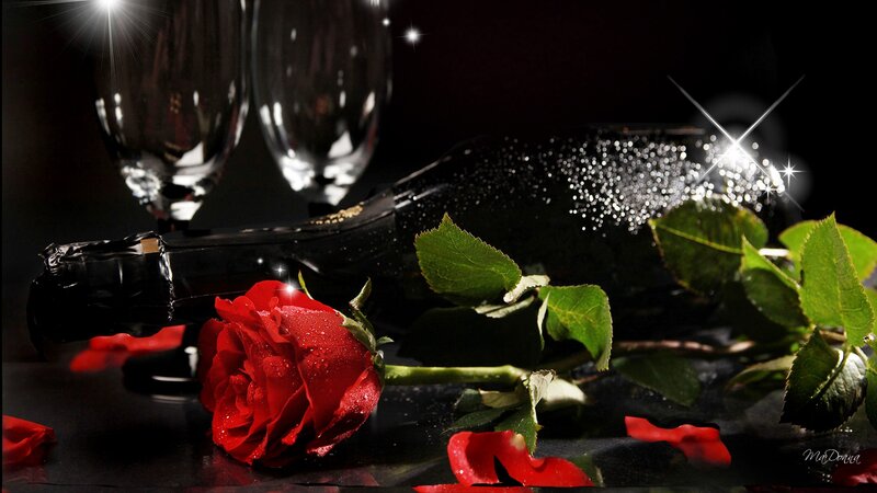 Red Rose and Champagne — Black