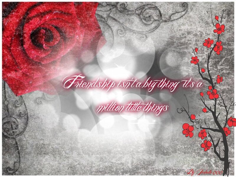Red Rose and Cherry Blossoms