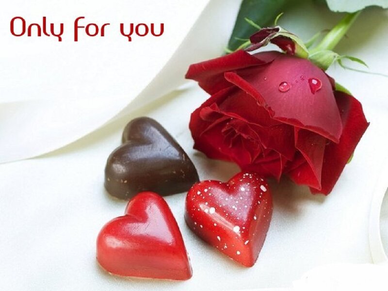 Red Rose and Chocolates — Romantic, Photograph