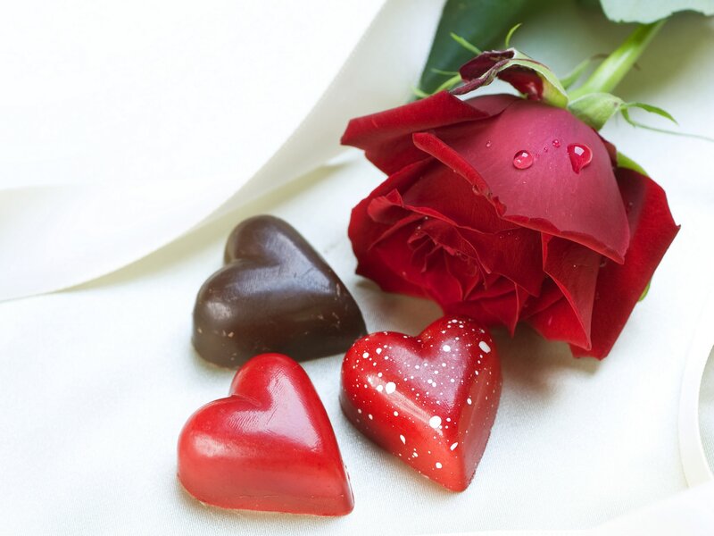Red Rose and Chocolates