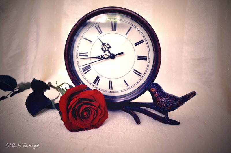 Red Rose and Clock