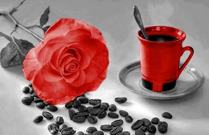 Red Rose and Coffee Cup — Calm, Morning