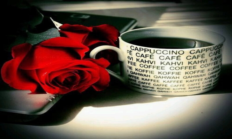 Red Rose and Coffee Cup — Dramatic