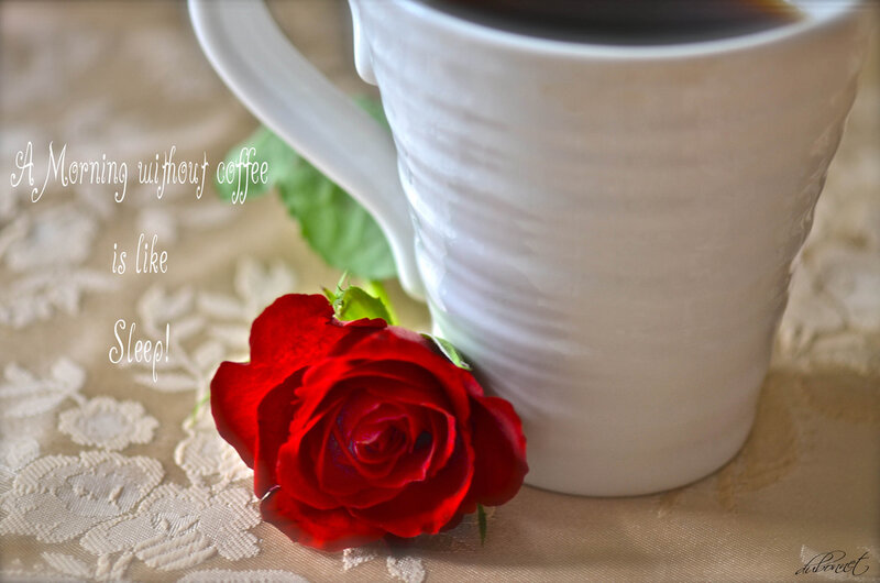 Red Rose and Coffee Cup