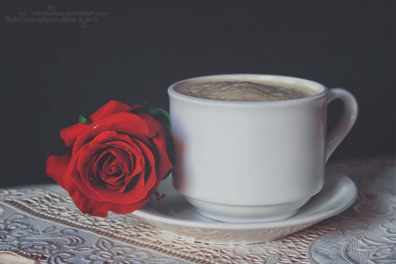 Red Rose and Coffee Cup — White