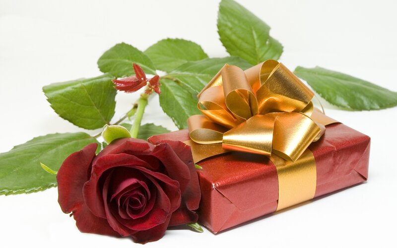 Red Rose and Gift Box — Romantic, Photograph, Gift Box, Leaves