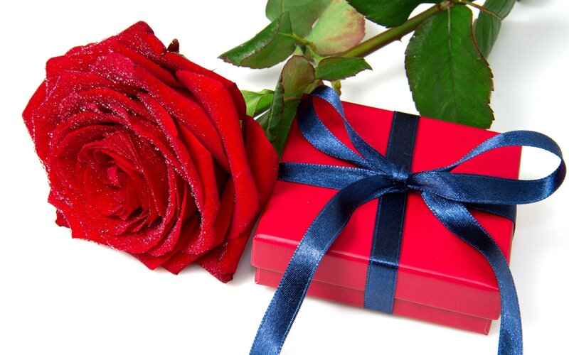 Red Rose and Gift Box — Romantic, Photograph, Gift Box, Ribbon, Leaves