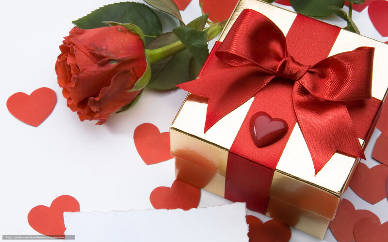 Red Rose and Gift Box — Romantic, Photograph, Heart Cutouts, Ribbon