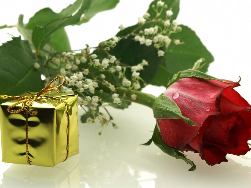 Red Rose and Gift Box — Romantic, Photograph