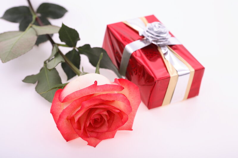 Red Rose and Gift Box — Romantic
