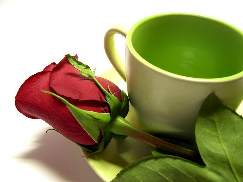 Red Rose and Green Cup