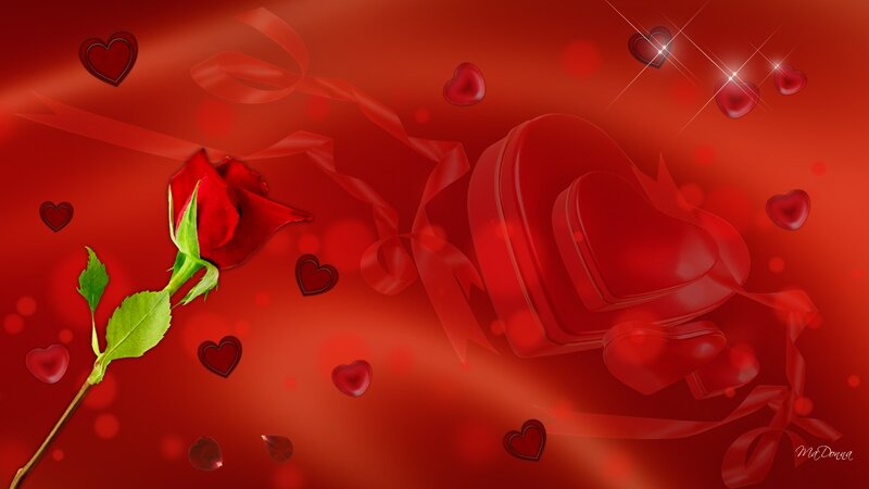 Red Rose and Heart Box