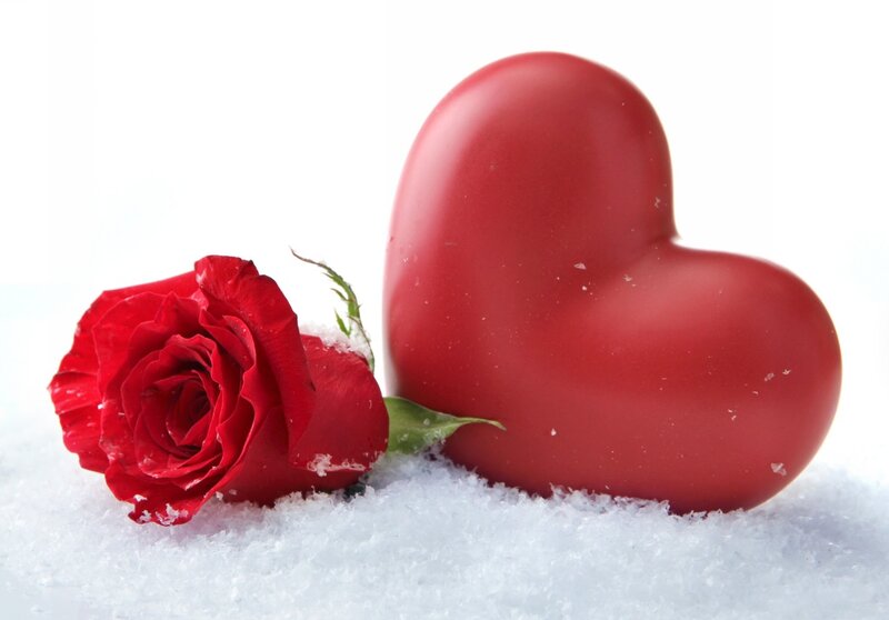Red Rose and Heart — Calm