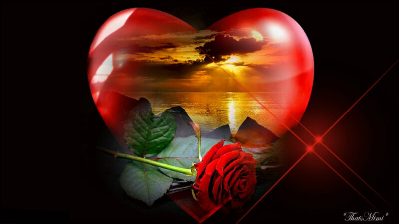 Red Rose and Heart — Romantic, Sunset