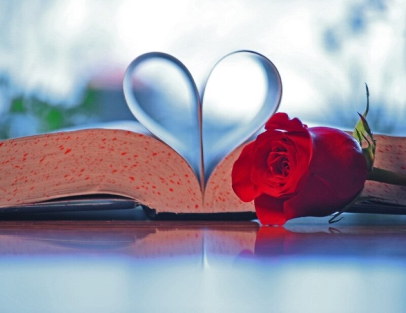 Red Rose and Heart-shaped Book — Romantic