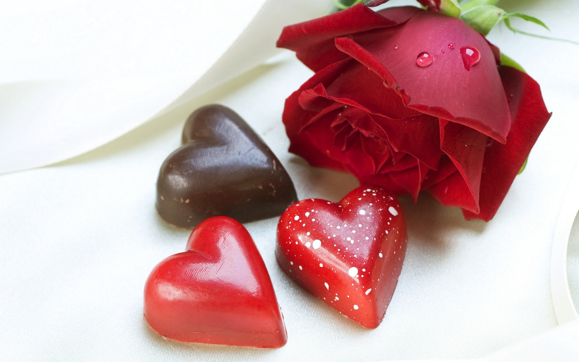 Red rose and heart-shaped chocolates