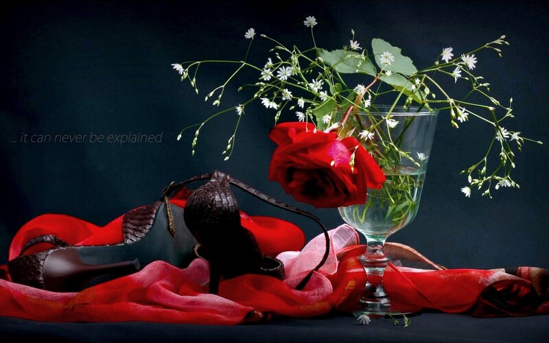 Red Rose and High Heels — Dramatic