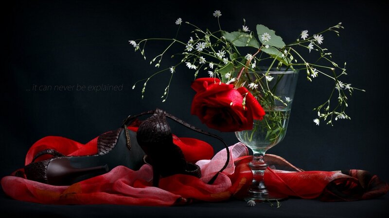 Red rose and high heels