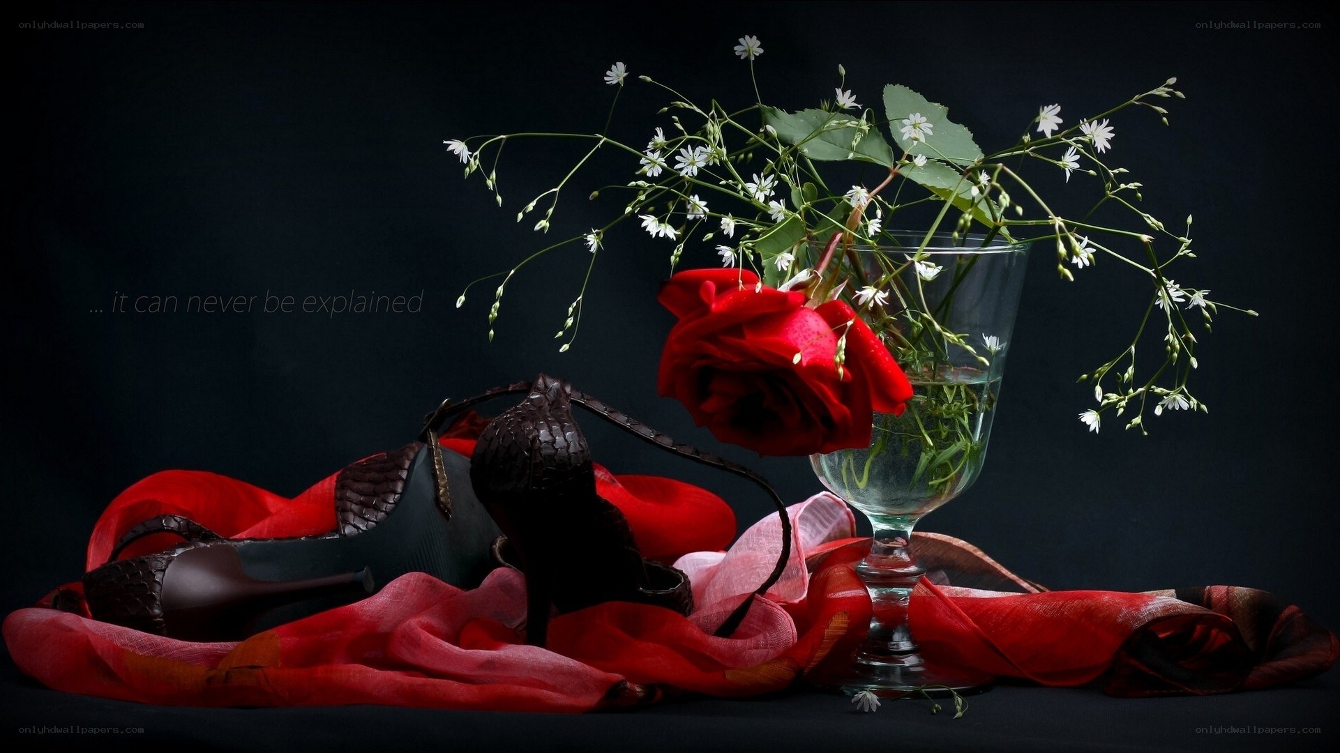 Red rose and high heels