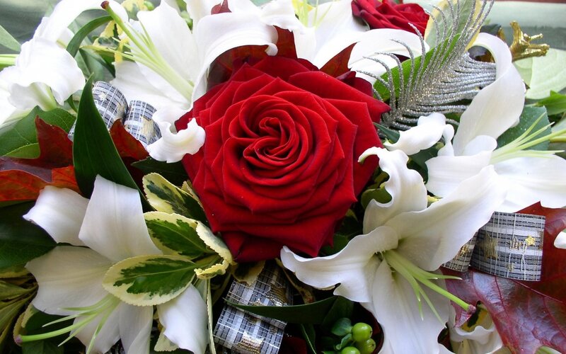 Red Rose and Lilies — Calm
