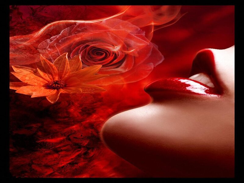 Red rose and lips