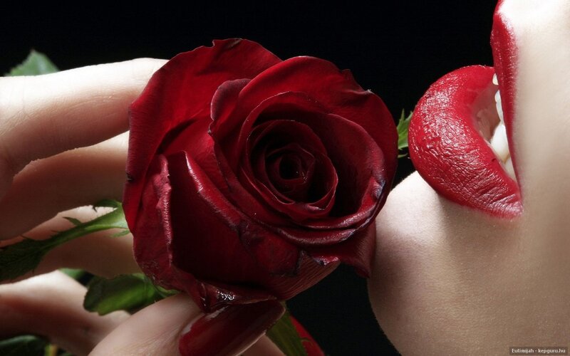 Red Rose and Lips — Dramatic, Photograph