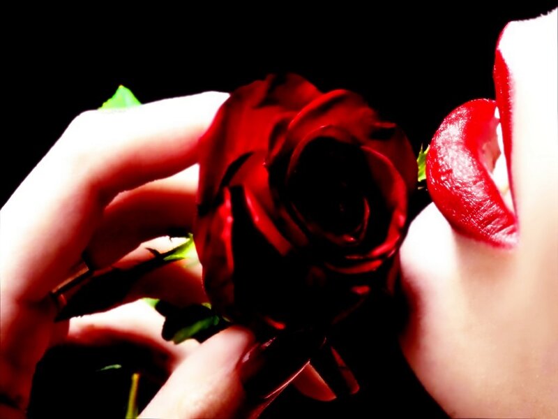 Red Rose and Lips — Dramatic