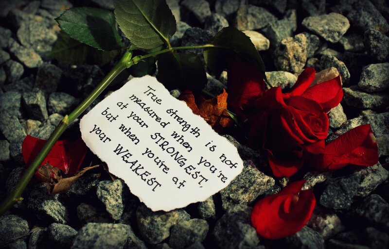 Red Rose and Note — Somber