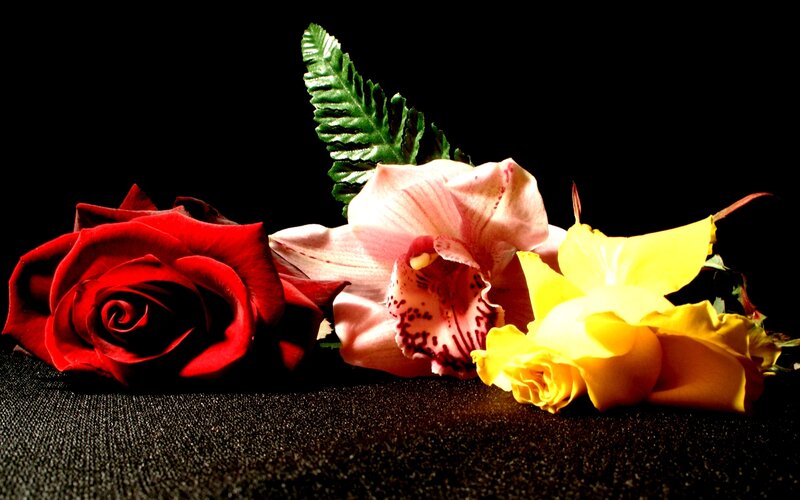 Red Rose and Orchid