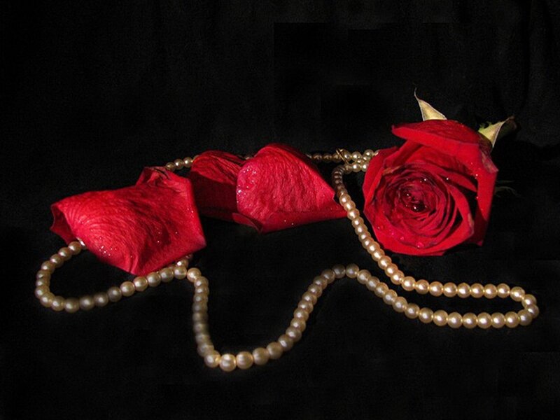 Red Rose and Pearls