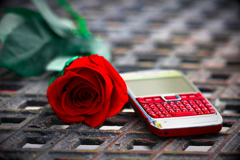 Red Rose and Phone