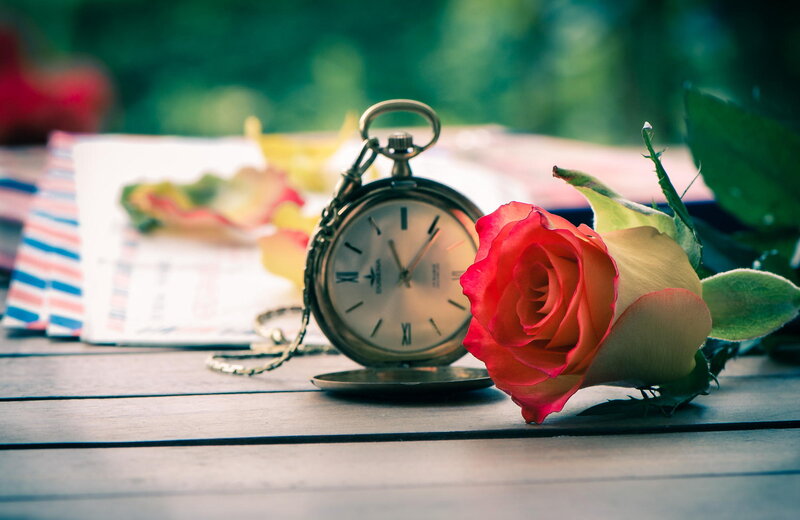 Red Rose and Pocket Watch — Serene