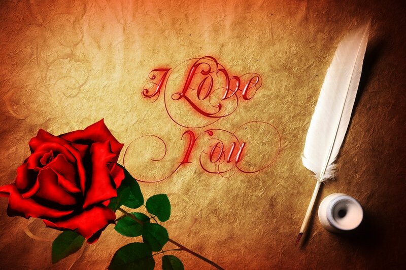 Red Rose and Quill