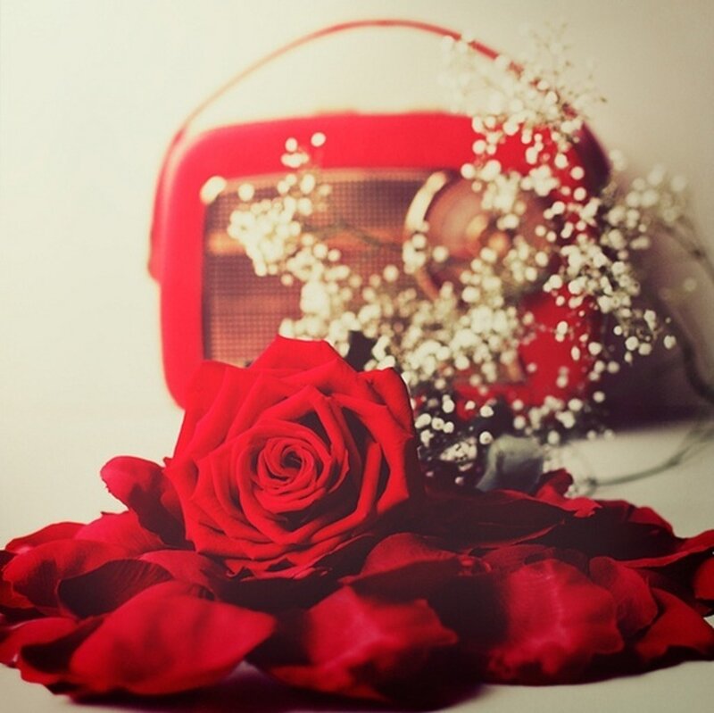 Red Rose and Radio