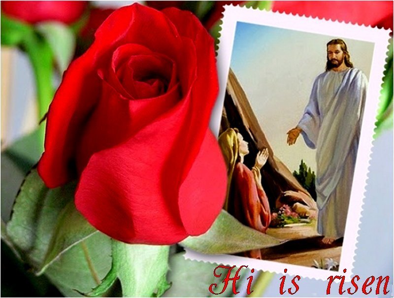 Red Rose and Religious Image