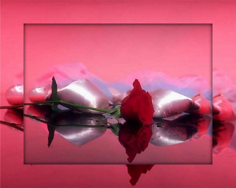 Red Rose and Silver Objects