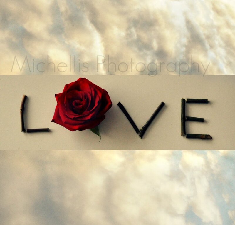 Red Rose and Sticks
