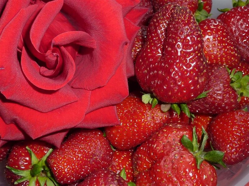 Red Rose and Strawberries