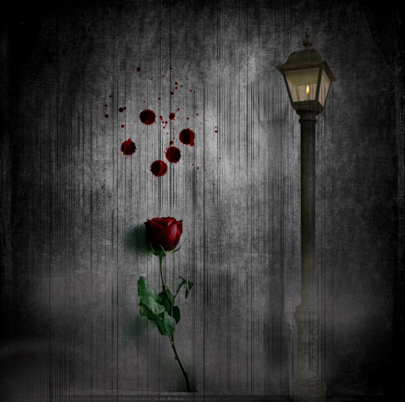 Red Rose and Street Lamp