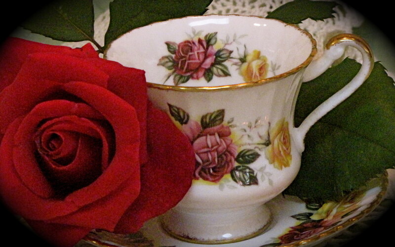 Red Rose and Teacup — Romantic