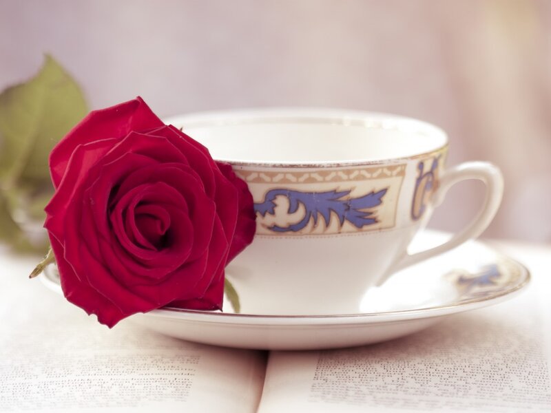 Red Rose and Teacup — Serene, Photograph, Book