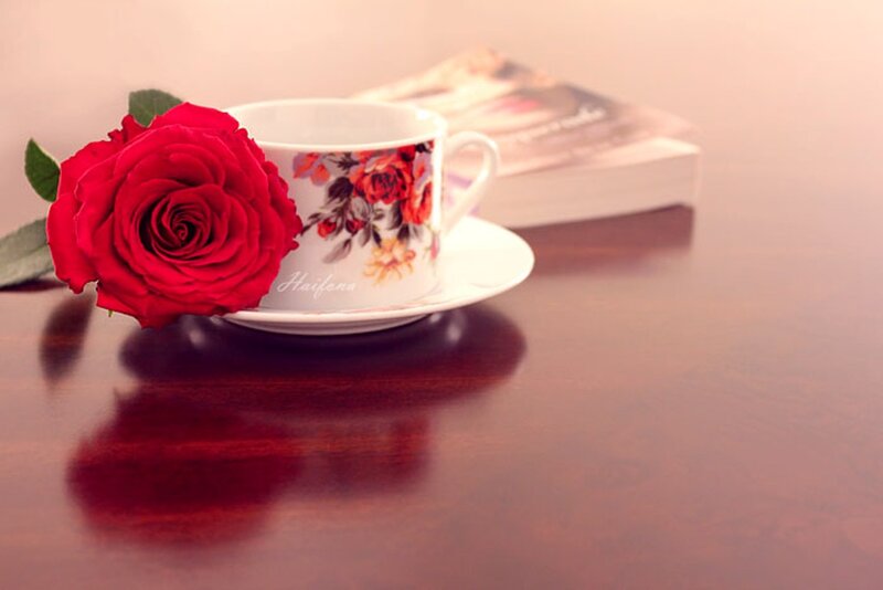 Red Rose and Teacup — Serene