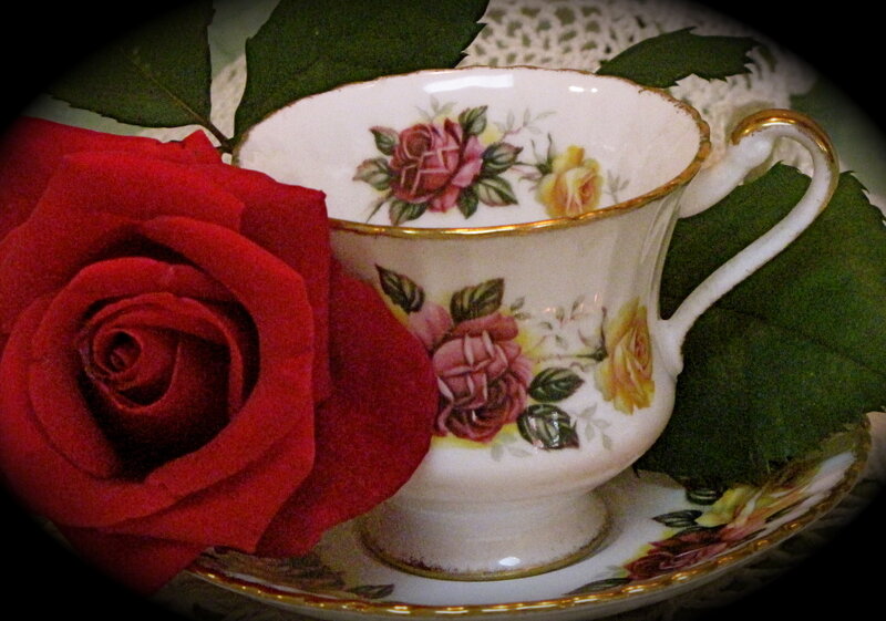 Red Rose and Teacup