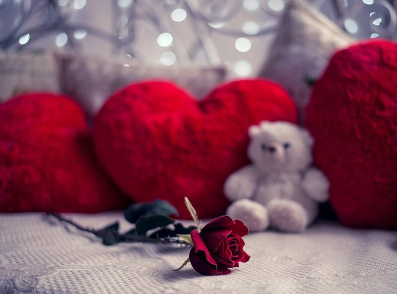Red Rose and Teddy Bear
