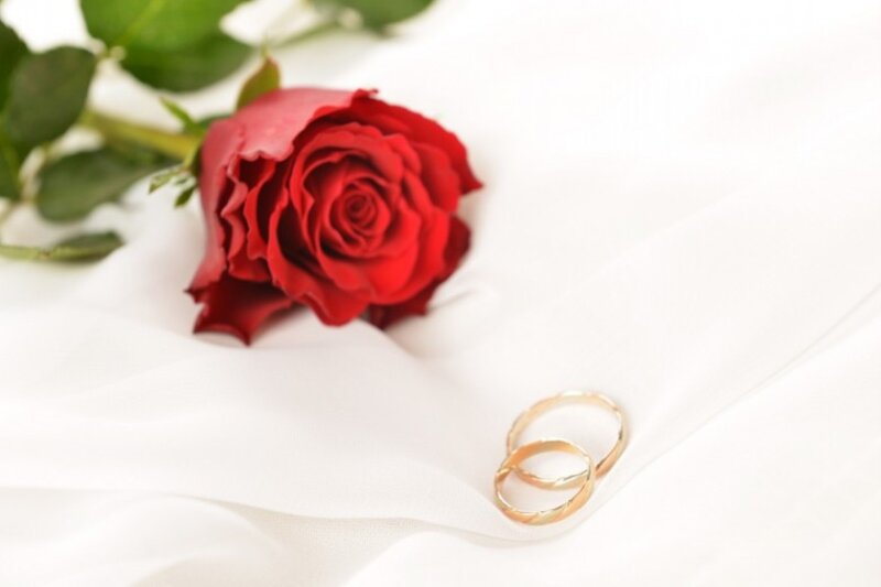 Red Rose and Wedding Rings — Romantic, Photograph