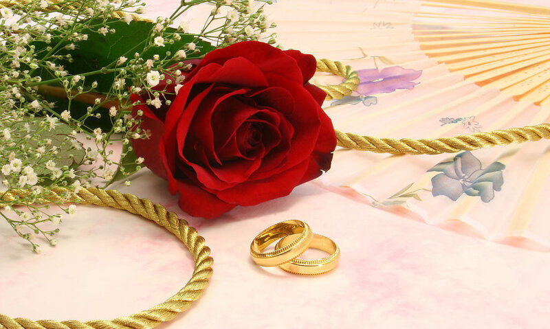 Red Rose and Wedding Rings — Romantic