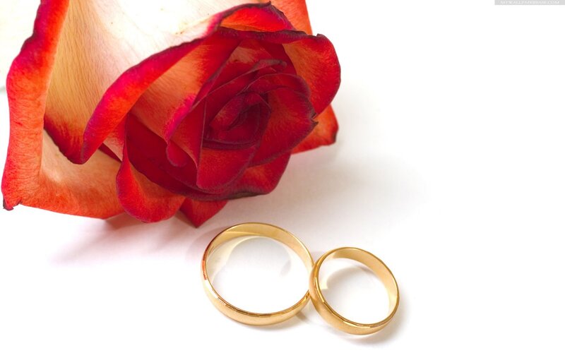 Red Rose and Wedding Rings